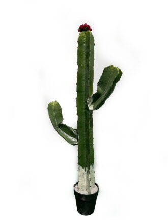 Artificial succulent 32*32*65cm Cactus in pp pot GS-69224011 Succulent 3,000+ sqm showroom with thousands of artificial flowers, plants & trees ready for global sourcing.