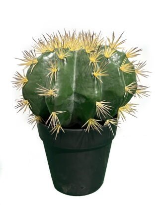 Artificial succulent 19*19*25cm Cactus in pp pot GS-69224016 Succulent YeahFlower is one of Chinese leading OEM manufacturers and exporters , supplying the silk flowers, wholesale artificial trees