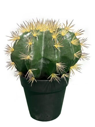 Artificial succulent 20*20*63cm Cactus*2 in pp pot GS-69224014 Succulent 3,000+ sqm showroom with thousands of artificial flowers, plants & trees ready for global sourcing.