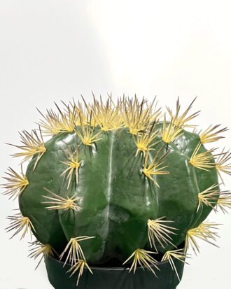 Artificial succulent 19*19*25cm Cactus in pp pot GS-69224016 Succulent YeahFlower is one of Chinese leading OEM manufacturers and exporters , supplying the silk flowers, wholesale artificial trees