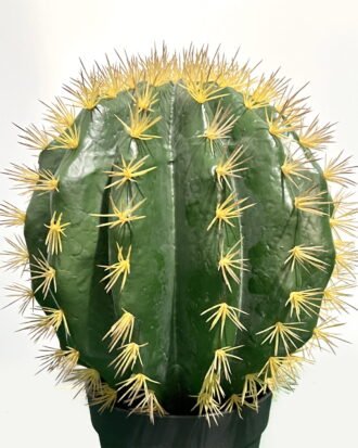 Artificial succulent 25*25*40cm Cactus in pp pot GS-69224018 Succulent YeahFlower is one of Chinese leading OEM manufacturers and exporters , supplying the silk flowers, wholesale artificial trees