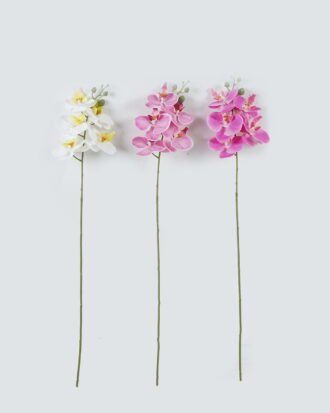 Artificial Flower 72cm Phalaenopsis *5 Single stem GS-64924005JJA 2024Jul YeahFlower is one of Chinese leading OEM manufacturers and exporters , supplying the silk flowers, wholesale artificial trees Artificial Flower 72cm Phalaenopsis *5 Single stem GS-64924005JJA 2024Jul YeahFlower is one of Chinese leading OEM manufacturers and exporters , supplying the silk flowers, wholesale artificial trees
