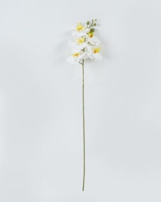 Artificial Flower 72cm Phalaenopsis *5 Single stem GS-64924005JJA 2024Jul YeahFlower is one of Chinese leading OEM manufacturers and exporters , supplying the silk flowers, wholesale artificial trees Artificial Flower 72cm Phalaenopsis *5 Single stem GS-64924005JJA 2024Jul YeahFlower is one of Chinese leading OEM manufacturers and exporters , supplying the silk flowers, wholesale artificial trees