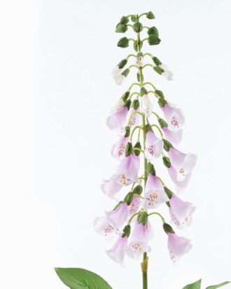 Artificial Flower 93cm single convallaria GS-128J005-P2 2024Jul YeahFlower is one of Chinese leading OEM manufacturers and exporters , supplying the silk flowers, wholesale artificial trees