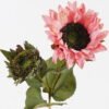 Artificial Flower Autumn sunflower 2 single stem GS-58823029-P1_6 Artificial Flower 18*18*56cm Autumn sunflower *2 single stem GS-58823029-P1 2024Aug YeahFlower is one of Chinese leading OEM manufacturers and exporters , supplying the silk flowers, wholesale artificial trees
