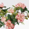 Artificial Flower Azalea 12 bush GS-30424042CT-R1_3 Artificial Flower 22*22*27cm Azalea *12 bush GS-30424042CT-R1 2024Jul YeahFlower is one of Chinese leading OEM manufacturers and exporters , supplying the silk flowers, wholesale artificial trees