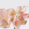 Artificial Flower Callalily 9 bundle GS-41524001CT-P1_3 Artificial Flower 20*20*33cm Callalily *9 bundle GS-41524001CT-P1 2024Jul YeahFlower is one of Chinese leading OEM manufacturers and exporters , supplying the silk flowers, wholesale artificial trees