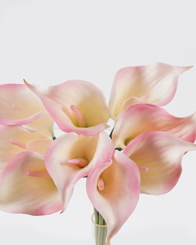 Artificial Flower Callalily 9 bundle GS-41524001CT-P1_3 Artificial Flower 20*20*33cm Callalily *9 bundle GS-41524001CT-P1 2024Jul YeahFlower is one of Chinese leading OEM manufacturers and exporters , supplying the silk flowers, wholesale artificial trees