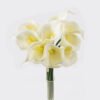 Artificial Flower 20*20*33cm Callalily *9 bundle GS-41524001CT-W2 2024Jul YeahFlower is one of Chinese leading OEM manufacturers and exporters , supplying the silk flowers, wholesale artificial trees