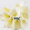 Artificial Flower 20*20*33cm Callalily *9 bundle GS-41524001CT-W2 2024Jul YeahFlower is one of Chinese leading OEM manufacturers and exporters , supplying the silk flowers, wholesale artificial trees