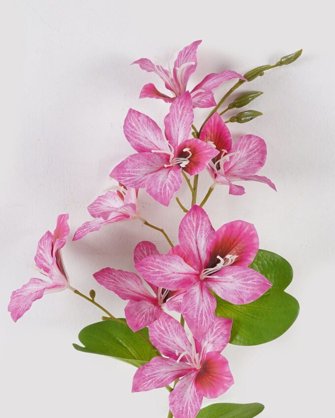 Artificial Flower Cercis chinensis single stem GS-64924014CT-R1_1 Artificial Flower 20*20*82cm Cercis chinensis single stem GS-64924014CT-R1 2024Jul YeahFlower is one of Chinese leading OEM manufacturers and exporters , supplying the silk flowers, wholesale artificial trees