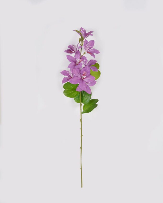 Artificial Flower Cercis chinensis single stem GS-64924014CT_5 Artificial Flower 20*20*82cm Cercis chinensis single stem GS-64924014CT 2024Jul YeahFlower is one of Chinese leading OEM manufacturers and exporters , supplying the silk flowers, wholesale artificial trees