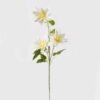 Artificial Flower Clematis florida 3 single stem GS-64924015CT-W1 Artificial Flower 23*23*82cm Clematis florida *3 single stem GS-64924015CT-W1 2024Jul YeahFlower is one of Chinese leading OEM manufacturers and exporters , supplying the silk flowers, wholesale artificial trees