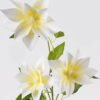 Artificial Flower Clematis florida 3 single stem GS-64924015CT-W1_1 Artificial Flower 23*23*82cm Clematis florida *3 single stem GS-64924015CT-W1 2024Jul YeahFlower is one of Chinese leading OEM manufacturers and exporters , supplying the silk flowers, wholesale artificial trees