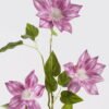 Artificial Flower Clematis florida 3 single stem GS-64924015CT-Z1_5 Artificial Flower 23*23*82cm Clematis florida *3 single stem GS-64924015CT-Z1 2024Jul YeahFlower is one of Chinese leading OEM manufacturers and exporters , supplying the silk flowers, wholesale artificial trees