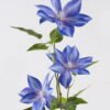 Artificial Flower 23*23*82cm Clematis florida *3 single stem GS-64924015CT 2024Jul YeahFlower is one of Chinese leading OEM manufacturers and exporters , supplying the silk flowers, wholesale artificial trees