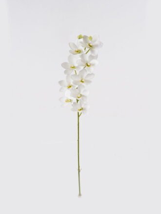 Artificial Flower 11*11*75cm Cymbidium faberi *9 single stem GS-64924017CT Single Flowers 3,000+ sqm showroom with thousands of artificial flowers, plants & trees ready for global sourcing.