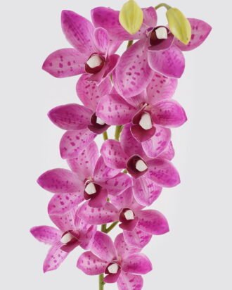 Artificial Flower 11*11*75cm Cymbidium faberi *9 single stem GS-64924017CT-Z1 2024Jul YeahFlower is one of Chinese leading OEM manufacturers and exporters , supplying the silk flowers, wholesale artificial trees