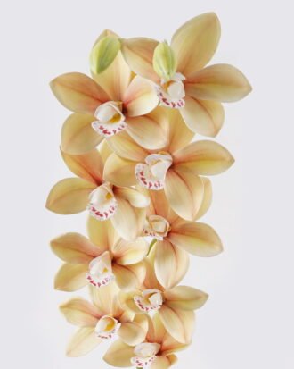 Artificial Flower 11*11*75cm Cymbidium faberi *9 single stem GS-64924017CT 2024Jul YeahFlower is one of Chinese leading OEM manufacturers and exporters , supplying the silk flowers, wholesale artificial trees