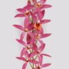 Artificial Flower 14*14*74cm Cymbidium faberi *9 single stem GS-64924018CT-R1 2024Jul YeahFlower is one of Chinese leading OEM manufacturers and exporters , supplying the silk flowers, wholesale artificial trees