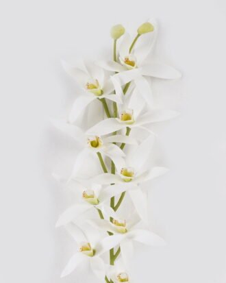 Artificial Flower 14*14*74cm Cymbidium faberi *9 single stem GS-64924018CT-W1 2024Jul YeahFlower is one of Chinese leading OEM manufacturers and exporters , supplying the silk flowers, wholesale artificial trees Artificial Flower 14*14*74cm Cymbidium faberi *9 single stem GS-64924018CT-W1 2024Jul YeahFlower is one of Chinese leading OEM manufacturers and exporters , supplying the silk flowers, wholesale artificial trees