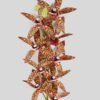 Artificial Flower 14*14*74cm Cymbidium faberi *9 single stem GS-64924018CT 2024Jul YeahFlower is one of Chinese leading OEM manufacturers and exporters , supplying the silk flowers, wholesale artificial trees