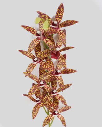 Artificial Flower 14*14*74cm Cymbidium faberi *9 single stem GS-64924018CT 2024Jul YeahFlower is one of Chinese leading OEM manufacturers and exporters , supplying the silk flowers, wholesale artificial trees