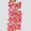 Artificial Flower 15*90cm Cymbidium faberi *9 single stem GS-64924021CT-P2 2024Jul YeahFlower is one of Chinese leading OEM manufacturers and exporters , supplying the silk flowers, wholesale artificial trees