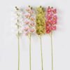 Artificial Flower Cymbidium faberi 9 single stem GS-64924021CT_1 Artificial Flower 15*90cm Cymbidium faberi *9 single stem GS-64924021CT 2024Jul YeahFlower is one of Chinese leading OEM manufacturers and exporters , supplying the silk flowers, wholesale artificial trees