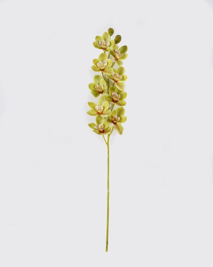 Artificial Flower Cymbidium faberi 9 single stem GS-64924021CT_3 Artificial Flower 15*90cm Cymbidium faberi *9 single stem GS-64924021CT 2024Jul YeahFlower is one of Chinese leading OEM manufacturers and exporters , supplying the silk flowers, wholesale artificial trees