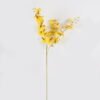 Artificial Flower Dancing Lady Orchid single stem GS-64924016CT-Y1_1 Artificial Flower 21*21*85cm Dancing Lady Orchid single stem GS-64924016CT-Y1 2024Jul YeahFlower is one of Chinese leading OEM manufacturers and exporters , supplying the silk flowers, wholesale artificial trees