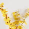 Artificial Flower Dancing Lady Orchid single stem GS-64924016CT-Y1_3 Artificial Flower 21*21*85cm Dancing Lady Orchid single stem GS-64924016CT-Y1 2024Jul YeahFlower is one of Chinese leading OEM manufacturers and exporters , supplying the silk flowers, wholesale artificial trees