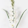 Artificial Flower Gladiolus 9 single stem GS-00824001-W1_6 Artificial Flower 36*36*98cm Gladiolus *9 single stem GS-00824001-W1 2024Aug YeahFlower is one of Chinese leading OEM manufacturers and exporters , supplying the silk flowers, wholesale artificial trees