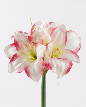 Artificial Flower 20*20*66CM Kaffir lily *3 GS-35018003RCT-P3 2024Jul YeahFlower is one of Chinese leading OEM manufacturers and exporters , supplying the silk flowers, wholesale artificial trees Artificial Flower 20*20*66CM Kaffir lily *3 GS-35018003RCT-P3 2024Jul YeahFlower is one of Chinese leading OEM manufacturers and exporters , supplying the silk flowers, wholesale artificial trees