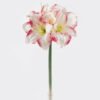 Artificial Flower Kaffir lily 3 GS-35018003RCT-P3_6 Artificial Flower 20*20*66CM Kaffir lily *3 GS-35018003RCT-P3 2024Jul YeahFlower is one of Chinese leading OEM manufacturers and exporters , supplying the silk flowers, wholesale artificial trees