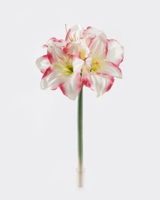 Artificial Flower 20*20*66CM Kaffir lily *3 GS-35018003RCT-P3 2024Jul YeahFlower is one of Chinese leading OEM manufacturers and exporters , supplying the silk flowers, wholesale artificial trees Artificial Flower 20*20*66CM Kaffir lily *3 GS-35018003RCT-P3 2024Jul YeahFlower is one of Chinese leading OEM manufacturers and exporters , supplying the silk flowers, wholesale artificial trees