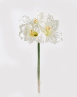 Artificial Flower 20*20*66CM Kaffir lily *3 GS-35018003RCT-W1 2024Jul YeahFlower is one of Chinese leading OEM manufacturers and exporters , supplying the silk flowers, wholesale artificial trees Artificial Flower 20*20*66CM Kaffir lily *3 GS-35018003RCT-W1 2024Jul YeahFlower is one of Chinese leading OEM manufacturers and exporters , supplying the silk flowers, wholesale artificial trees