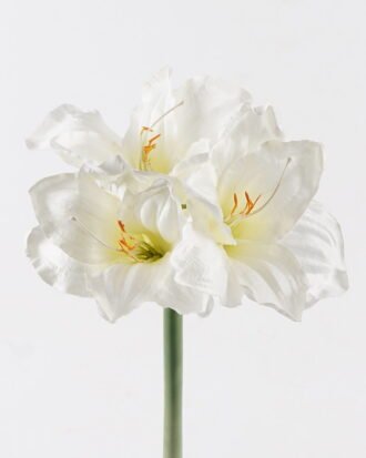 Artificial Flower 20*20*66CM Kaffir lily *3 GS-35018003RCT-W1 2024Jul YeahFlower is one of Chinese leading OEM manufacturers and exporters , supplying the silk flowers, wholesale artificial trees Artificial Flower 20*20*66CM Kaffir lily *3 GS-35018003RCT-W1 2024Jul YeahFlower is one of Chinese leading OEM manufacturers and exporters , supplying the silk flowers, wholesale artificial trees