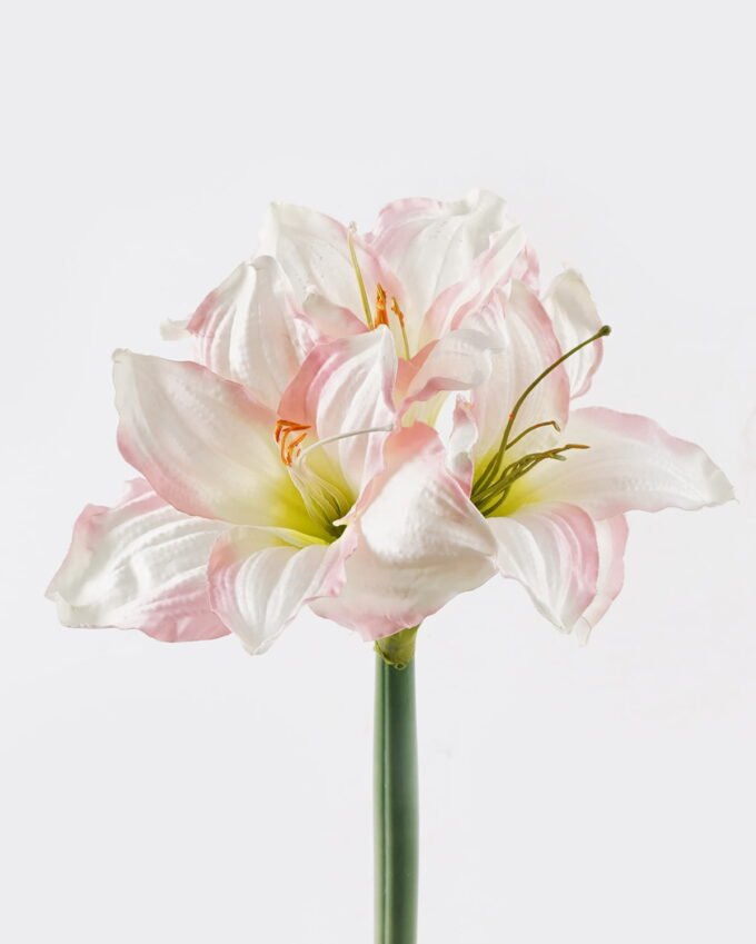 Artificial Flower Kaffir lily 3 GS-35018003RCT_2 Artificial Flower 20*20*66CM Kaffir lily *3 GS-35018003RCT 2024Jul YeahFlower is one of Chinese leading OEM manufacturers and exporters , supplying the silk flowers, wholesale artificial trees