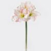 Artificial Flower Kaffir lily 3 GS-35018003RCT_3 Artificial Flower 20*20*66CM Kaffir lily *3 GS-35018003RCT 2024Jul YeahFlower is one of Chinese leading OEM manufacturers and exporters , supplying the silk flowers, wholesale artificial trees