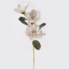 Artificial Flower Magnolia denudata 3 single stem GS-64924012CT-W1_1 Artificial Flower 20*20*80cm Magnolia denudata *3 single stem GS-64924012CT-W1 2024Jul YeahFlower is one of Chinese leading OEM manufacturers and exporters , supplying the silk flowers, wholesale artificial trees
