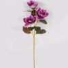 Artificial Flower Magnolia denudata 3 single stem GS-64924012CT-Z1_1 Artificial Flower 20*20*80cm Magnolia denudata *3 single stem GS-64924012CT-Z1 2024Jul YeahFlower is one of Chinese leading OEM manufacturers and exporters , supplying the silk flowers, wholesale artificial trees