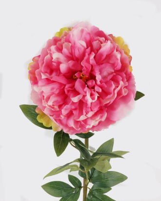 Artificial Flower 23*23*71cm Peony Single stem GS-44324002 2024Jul YeahFlower is one of Chinese leading OEM manufacturers and exporters , supplying the silk flowers, wholesale artificial trees Artificial Flower 23*23*71cm Peony Single stem GS-44324002 2024Jul YeahFlower is one of Chinese leading OEM manufacturers and exporters , supplying the silk flowers, wholesale artificial trees