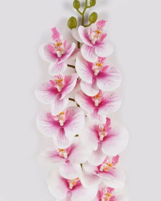 Artificial Flower 17*17*92cm Phalaenopsis *11 Single stem GS-64924020CT 2024Jul YeahFlower is one of Chinese leading OEM manufacturers and exporters , supplying the silk flowers, wholesale artificial trees Artificial Flower 17*17*92cm Phalaenopsis *11 Single stem GS-64924020CT 2024Jul YeahFlower is one of Chinese leading OEM manufacturers and exporters , supplying the silk flowers, wholesale artificial trees