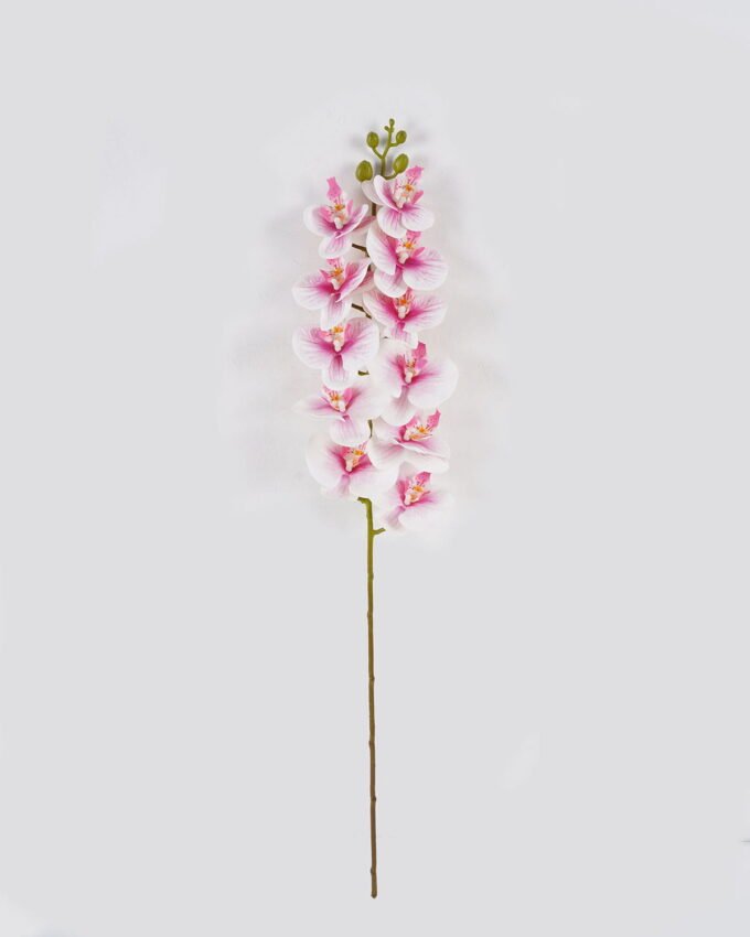 Artificial Flower Phalaenopsis 11 Single stem GS-64924020CT_3 Artificial Flower 17*17*92cm Phalaenopsis *11 Single stem GS-64924020CT 2024Jul YeahFlower is one of Chinese leading OEM manufacturers and exporters , supplying the silk flowers, wholesale artificial trees