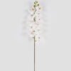 Artificial Flower Phalaenopsis 11 Single stem GS-64924020CT_4 Artificial Flower 17*17*92cm Phalaenopsis *11 Single stem GS-64924020CT 2024Jul YeahFlower is one of Chinese leading OEM manufacturers and exporters , supplying the silk flowers, wholesale artificial trees