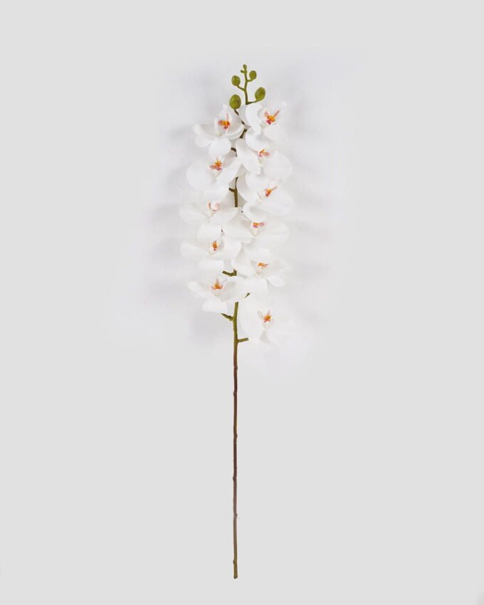 Artificial Flower Phalaenopsis 11 Single stem GS-64924020CT_4 Artificial Flower 17*17*92cm Phalaenopsis *11 Single stem GS-64924020CT 2024Jul YeahFlower is one of Chinese leading OEM manufacturers and exporters , supplying the silk flowers, wholesale artificial trees