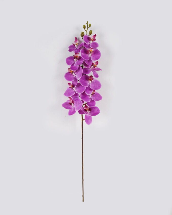 Artificial Flower Phalaenopsis 11 Single stem GS-64924020CT_5 Artificial Flower 17*17*92cm Phalaenopsis *11 Single stem GS-64924020CT 2024Jul YeahFlower is one of Chinese leading OEM manufacturers and exporters , supplying the silk flowers, wholesale artificial trees
