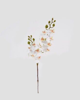 Artificial Flower 15*15*60cm Phalaenopsis *12 single stem GS-64924013CT-W1 2024Jul YeahFlower is one of Chinese leading OEM manufacturers and exporters , supplying the silk flowers, wholesale artificial trees