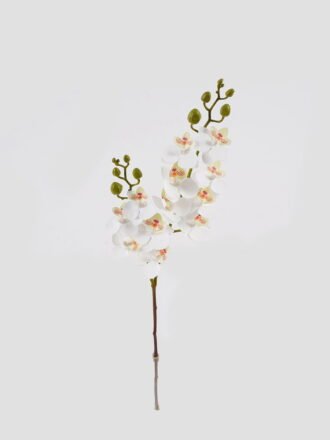 Artificial Flower 17*17*70cm Ranunculus asiaticus  *3 single stem GS-39124001CT 2024Jul YeahFlower is one of Chinese leading OEM manufacturers and exporters , supplying the silk flowers, wholesale artificial trees